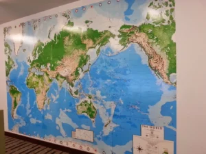 Sydney Wallpapering Gallery